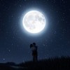 moonlight serenade