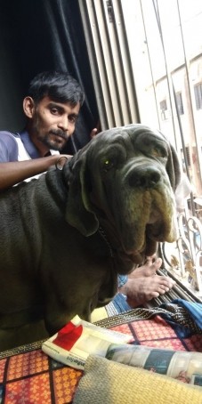Jayesh Patil, 36, India