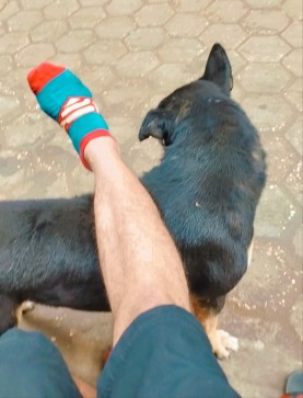 Deda, 26, Egypt