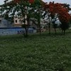 Priya
