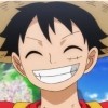 Luffy  17  