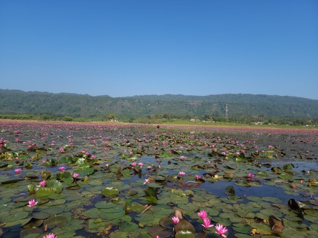 Ash, 22, United States