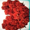 Roses4ever79, 41, United States