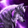 Zohir
