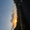 Stecy