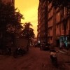Vijay Vasmani