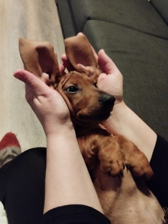 Zhc, 18, Finland