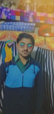 Ali, 18, United States