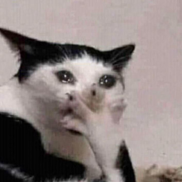 Kathryn , 18, Slovakia