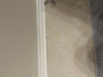 Xx_ VDP _xX, 18, Canada