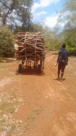 Kebba Sanuwo, 22, Gambia