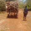 Kebba Sanuwo