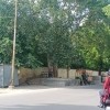 ajju01