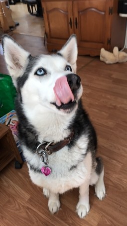 Miles, 20, Canada