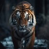 Arun