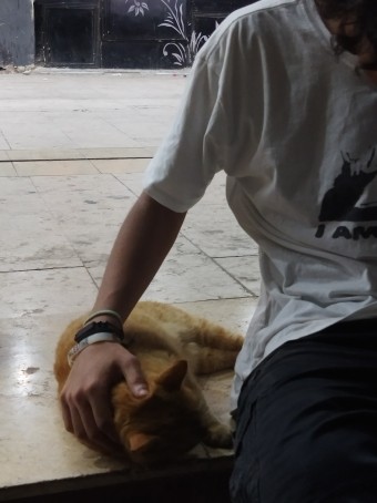 Kareem, 21, Egypt