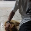 Kareem