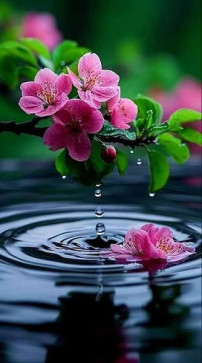 John India , 32, India