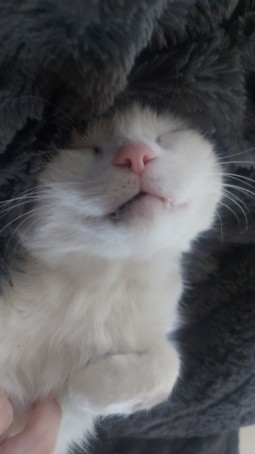 Grizz, 18, Belgium