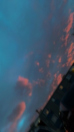 Timmy202, 18, United States