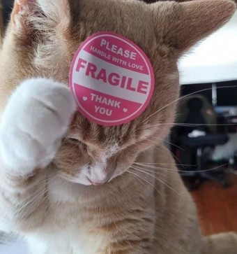 Squishy, 19, Philippines