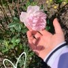 Littlenia67