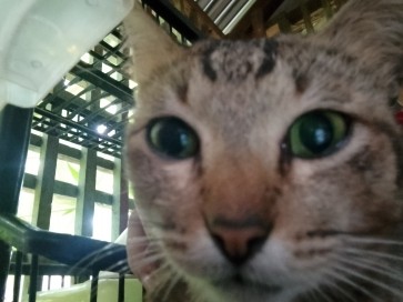 Jommel, 19, Philippines