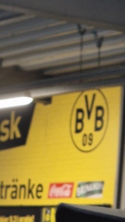 Max18, 18, Germany