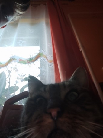 Bendeguacutez Kaa, 18, Hungary