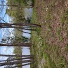 Likes2Camp