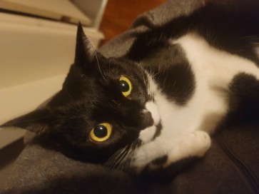 Luke, 19, Japan