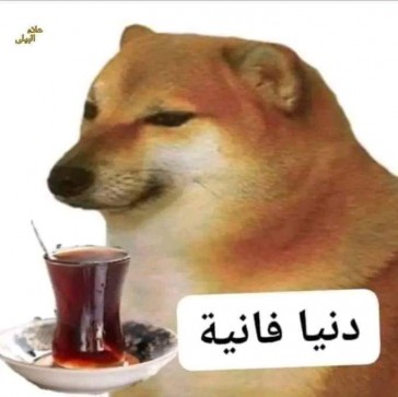 Koko, 27, Egypt