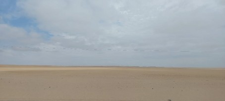 Aj19, 19, South Africa