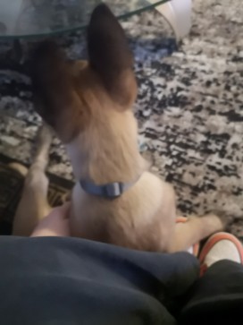 Isa, 23, Netherlands