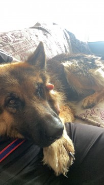 Sam, 20, India
