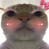 posa