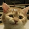 Someone 