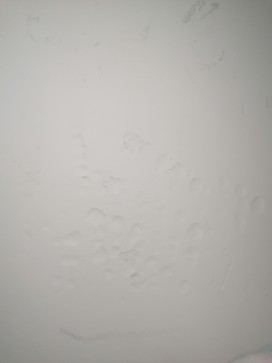 , 18