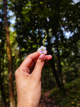 CleanChatOnly, 30, Philippines