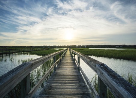 D, 47, United States