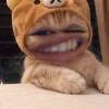 Amr
