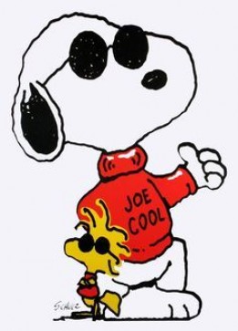Snoopy Dogg, 18, South Korea