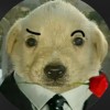 Krish