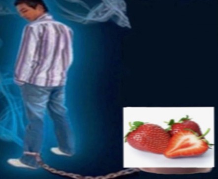 Lamp, 18, United States