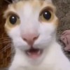 Buttmuncher