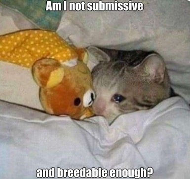 Breeadable, 21
