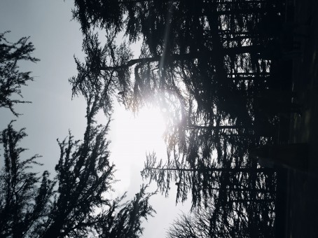 Who Cares, 23, India