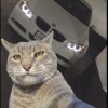 thefrenchcaptain