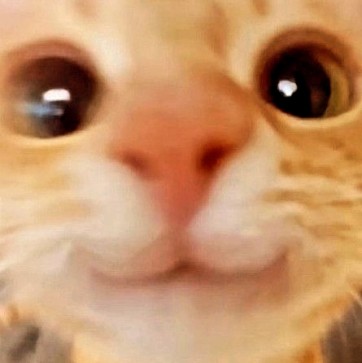 , 18, United Kingdom