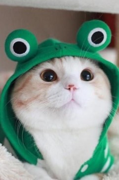 Gummieebear, 22, Italy